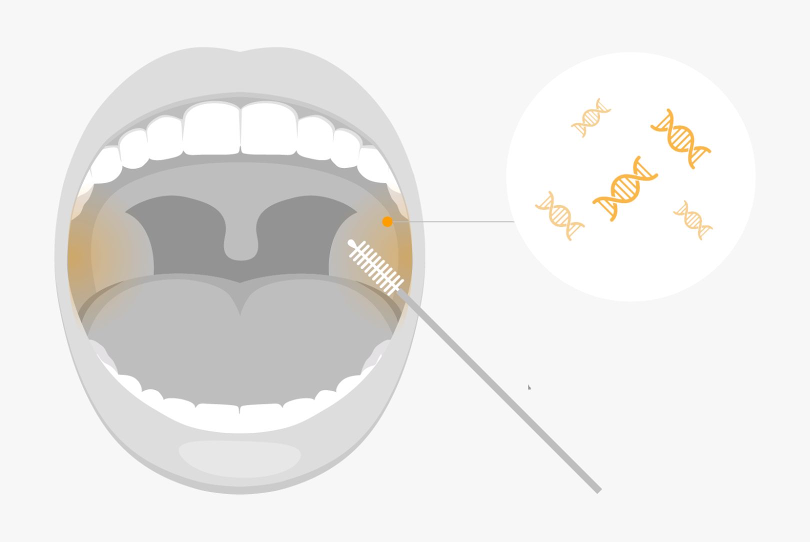 Collect Dna How to Collect DNA Samples - DNA Tests Direct